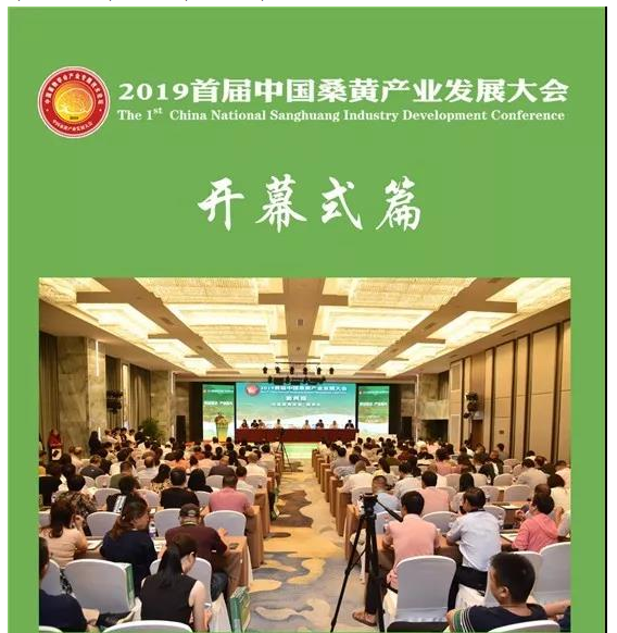 专注桑黄  健康中国  首届中国桑黄产业发展大会在杭州举办